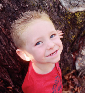 网络手机号免费版